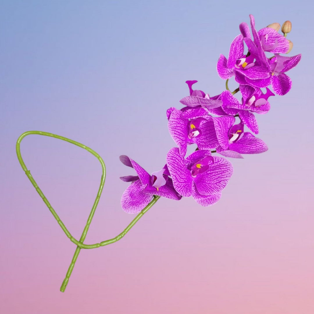 ORQUIDEA WZC MORADO