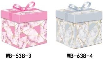 CAJA REGALO 22*22*22 638