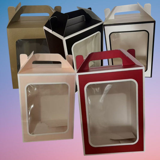 CAJA REGALO MED 30*20*16