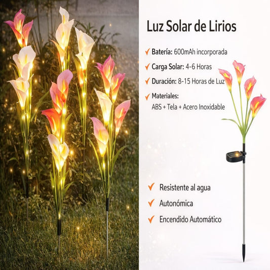 CALA LUZ SOLAR 4RAMA 1PCS