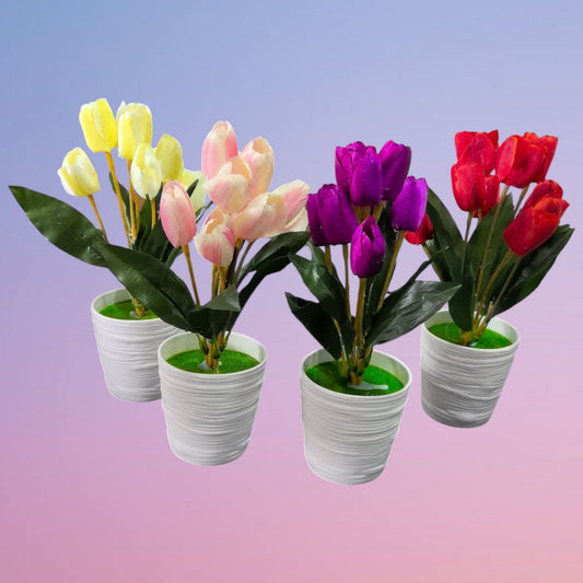 BONSAI TULIPAN MACETA 27CM