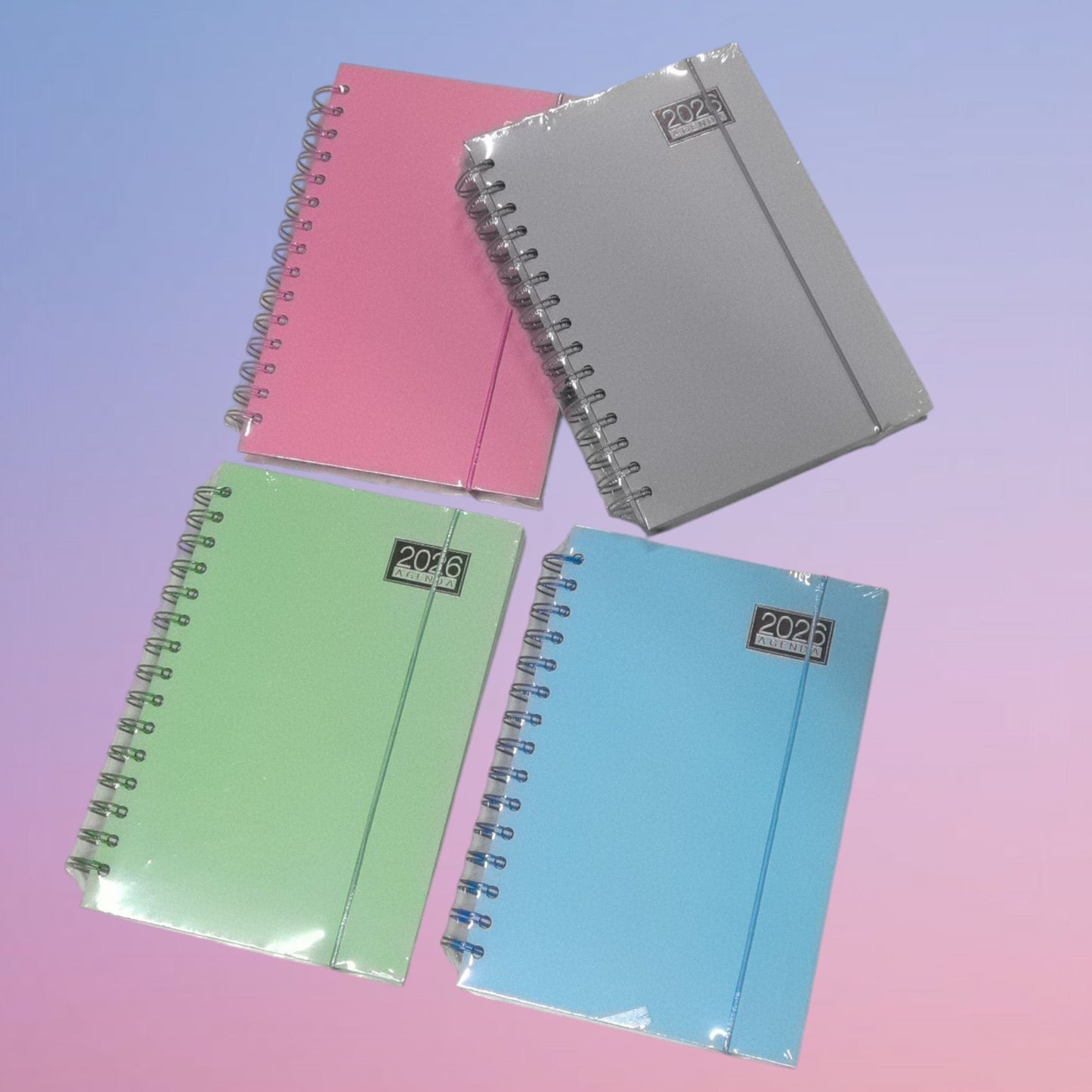 AGENDA 2026 A5 148*210 LISO