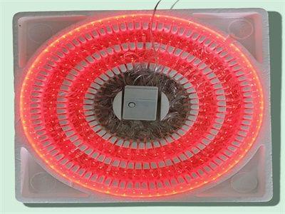 LUZ LED 200L 6M ROJO FON