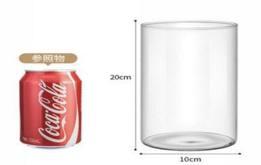 FLORERO VIDRIO 10*20 TUBO