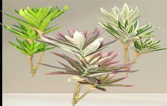 FLOR LIRIO 3RAMO