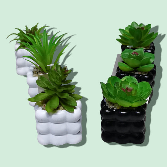 BONSAI CERAMICA CUADRADO 5*8CM