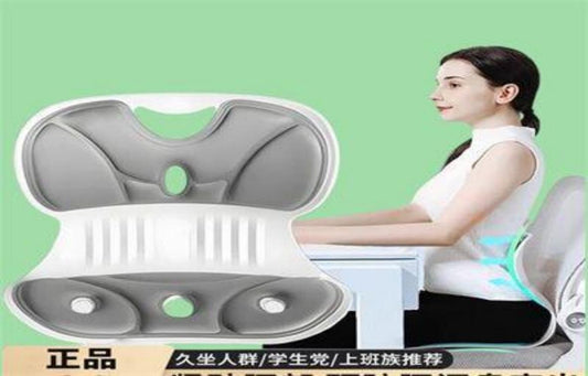 PROTECTOR LUMBAR PARA ASIENTOS