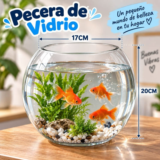 PECERA VIDRIO 12*15