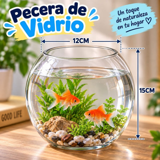 PECERA VIDRIO 17*20