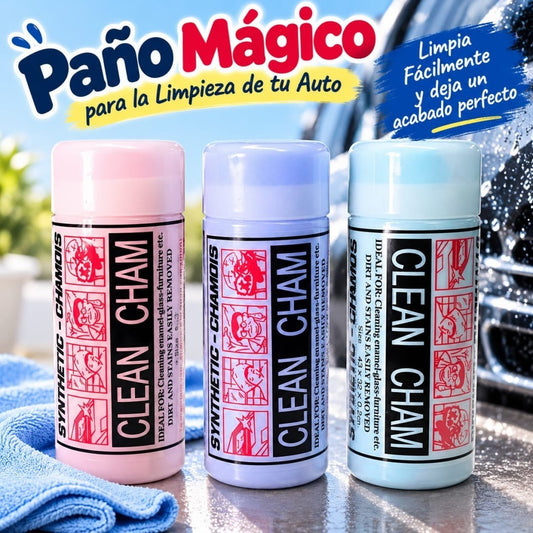 LIMPION LAVA CARRO PEQ TARRO