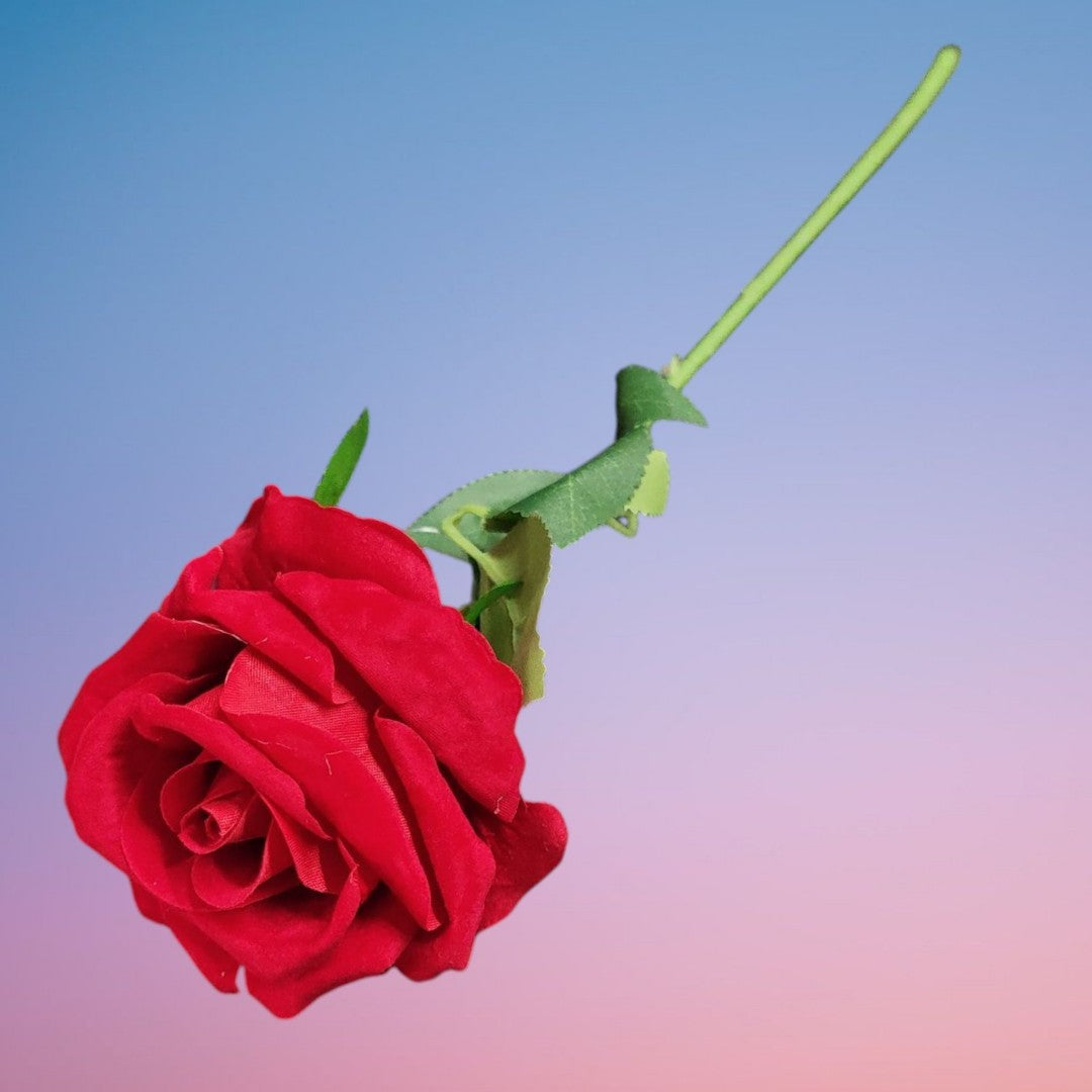 ROSA 1RAMO ZF02 B