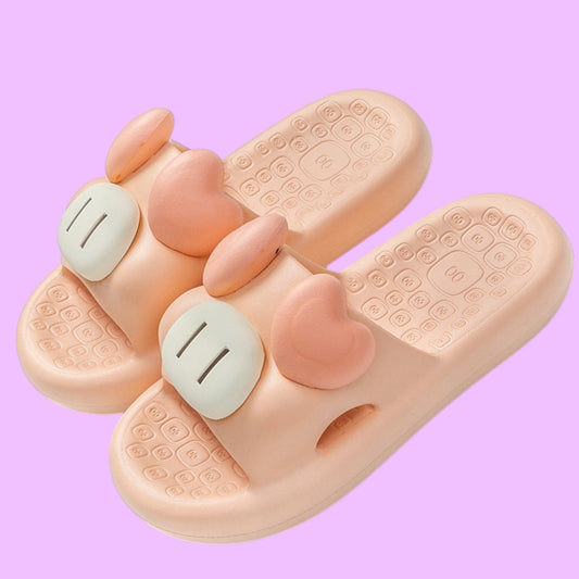 CHANCLETAS CHANCHO 36-41